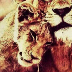 Sagi Azambek, 20.03, Алматы