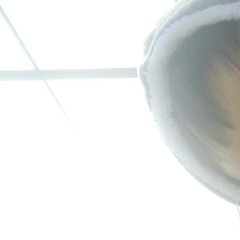 Togzhan Beisenova, 28.12.1992, Шымкент