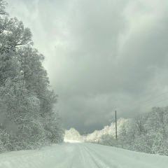 Данила Никулин, 04.05, Хабаровск