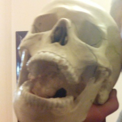 Виталий Зиновьев, 05.01, Киев