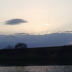 Сергей Куликов, Донецк