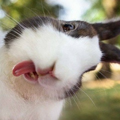 Анастасия Федорова, 19.08, Санкт-Петербург