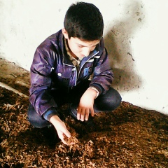 Ferid Mamedov, 08.05, Балакен