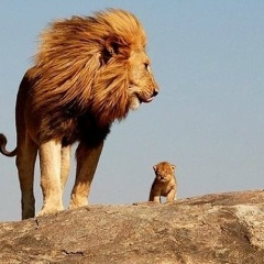 Ахмад Умаханов, 27.02.2002, Москва