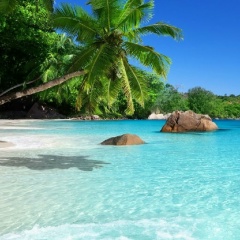 Ибрагим Темирсултанов, Сургут