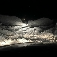 Максим Райлян