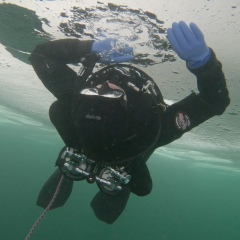 Редван Угрюмый, 20.01