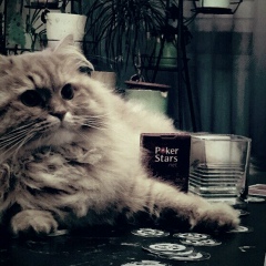 Дмитрий Маслов, 20.12.1981, Санкт-Петербург