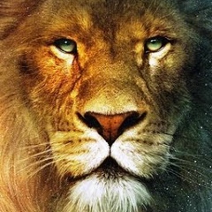 Макс Таиров, 04.11