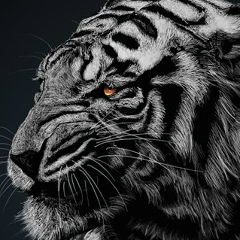 Серик Альменбаев, 07.12, Алматы