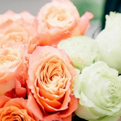 Елена Дубиновская, 03.02