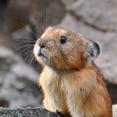 Елена Сергеева, 10.08, Санкт-Петербург