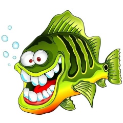 Рыба Свежая, Кингисепп