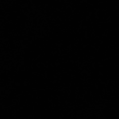 Вася Пупкин, Москва