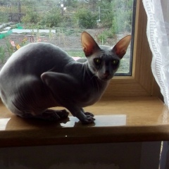 Дарья Пискунова, 12.08.2002