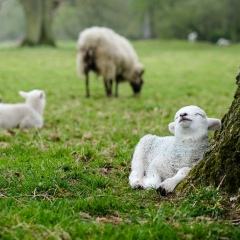 Зарина Сиукаева, 09.06.1991, Владикавказ