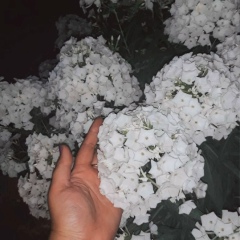 Наиля Жаныбекова, 22.12.1987, Баканас