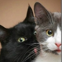 Лена Соловьева, 18.09, Новосибирск