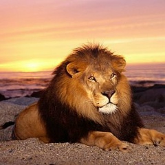 Шерзод Жумабаев, 30.10.1988, Калининград