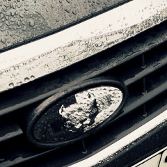 Ибрагим Дудаев, 31.01, Грозный