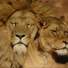 Рустам Мустафин, 20.08, Санкт-Петербург