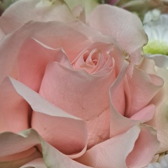 Надежда Полянская, 08.10