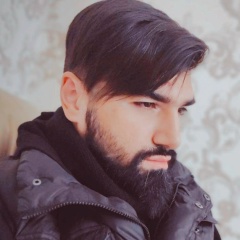 Siavash Abasi, 30.06.1986, Киев