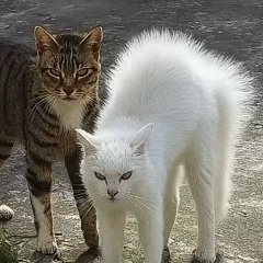 Геннадий Федонов, 19.01, Махачкала