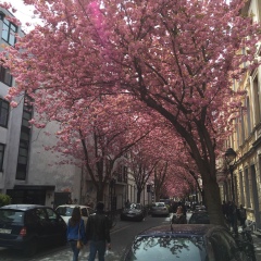 Сергей Казанский, 10.11.1987, Москва