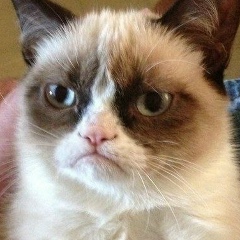 Роман Анатольевич, 22.11.1986, Москва