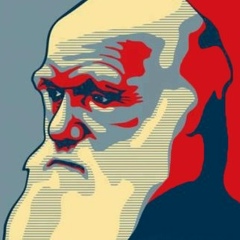 Тима Тима, 30.10.1992, Ош