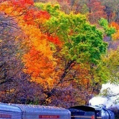 Гульнара Омарова, 26.07, Астана