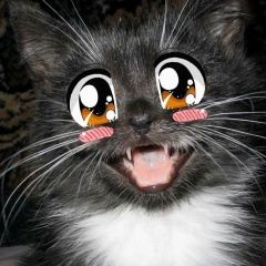 Павел Вдовин, 15.10.1992, Железногорск