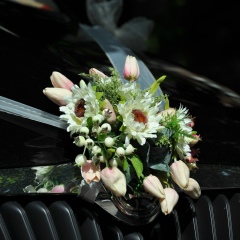 Саша Терехов, Тель-Авив