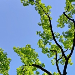 Alexandr Massunov, 24.03, Красноярск