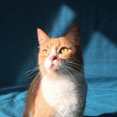 Оля Лодкина, 13.03, Санкт-Петербург