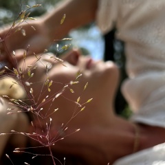 Елена Акчурина, Сосновый Бор