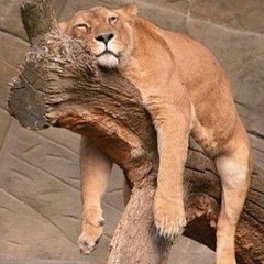 Люба Мурашова, 01.08, Екатеринбург