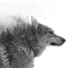 Александр Грецкий, 26.11, Павлоград