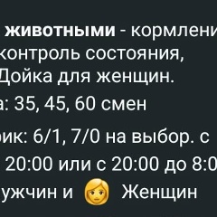 Ибрагим Ибрагимов, 16.11.1988, Москва