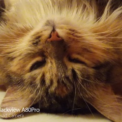 Анастасия Киселева, 05.07.1989, Санкт-Петербург