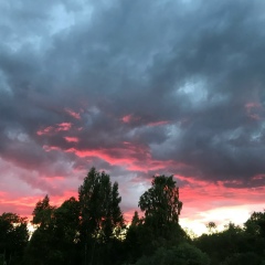 Елена Коноваленко, 05.03, Санкт-Петербург