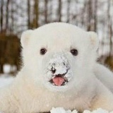 Гульмира Калиакпарова, 11.04, Астана