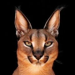 Евгения Порядина, 23.02.1982, Кропоткин