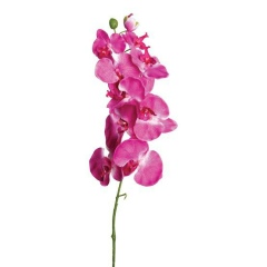 Татьяна Хмелевская, 20.11.1984, Одесса