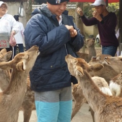 Myat Hlaing, 09.09.1965