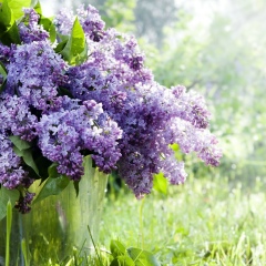 Алина Синягина, 14.10.1986, Днепр (Днепропетровск)