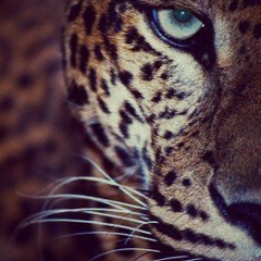 Беллита Ильясова, 03.01.1992, Невинномысск