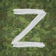 Диляра Ахсанова, 30.12, Казань