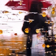 Виктория Семенихина, 27.04.1985, Санкт-Петербург